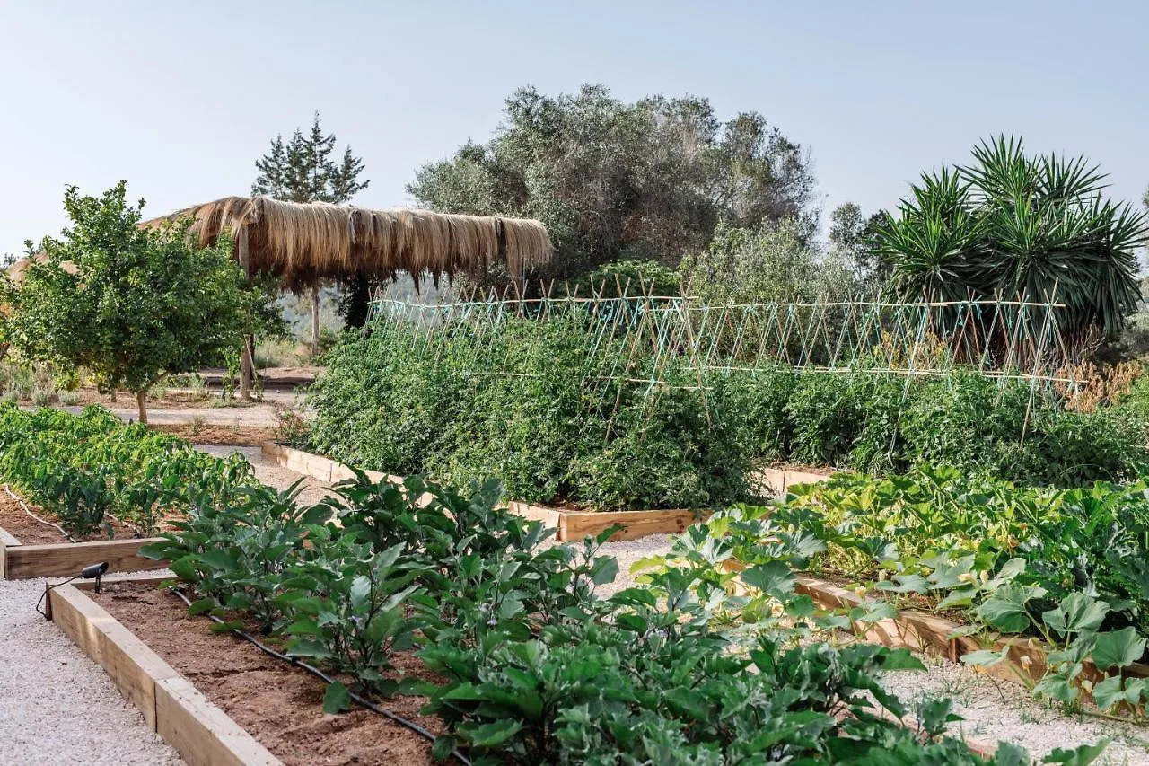 Agroturismo Can Domo Santa Eularia des Riu